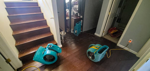 Best Emergency water damage restoration  in Holden Heights, FL