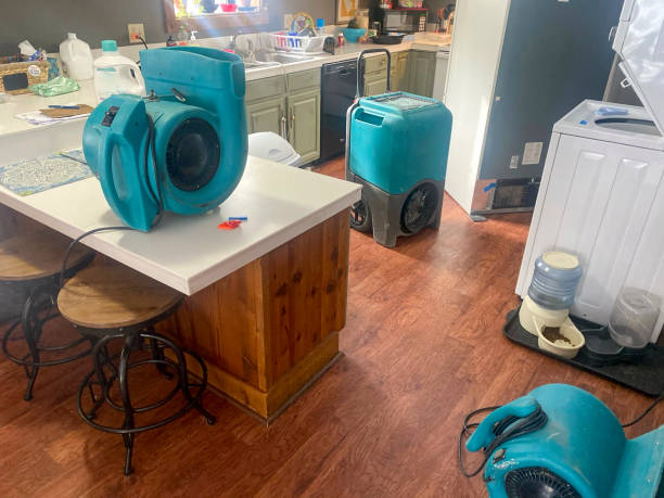 Best Fire Damage Restoration  in Holden Heights, FL