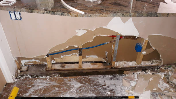 Best Water damage cleanup near me  in Holden Heights, FL