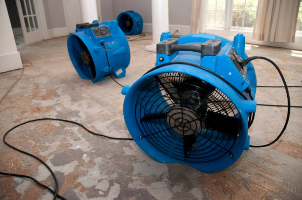 Best Flooded house restoration  in Holden Heights, FL
