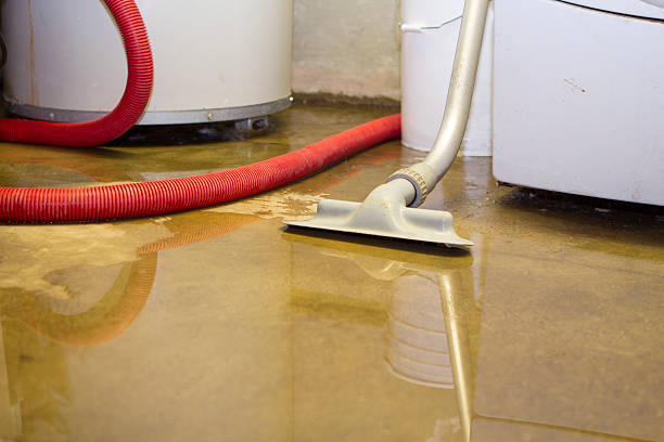 Best Water damage restoration specialists  in Holden Heights, FL