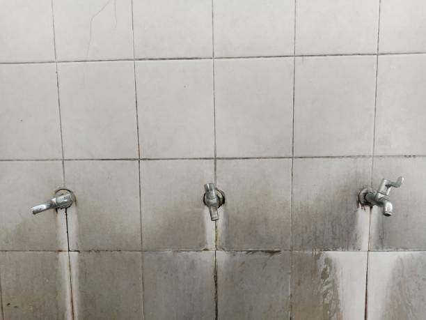 Best Flood damage cleanup  in Holden Heights, FL