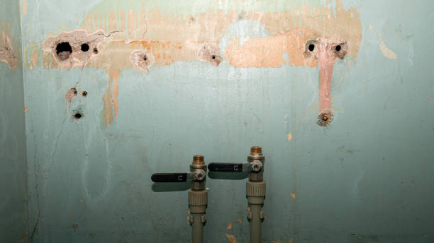 Best Water damage restoration near me  in Holden Heights, FL