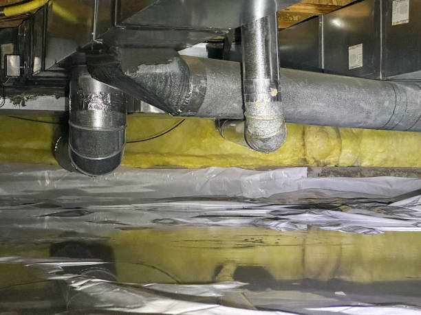 Best Water damage restoration experts  in Holden Heights, FL