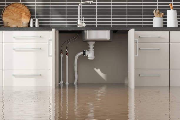 Holden Heights, FL Water damage restoration Company