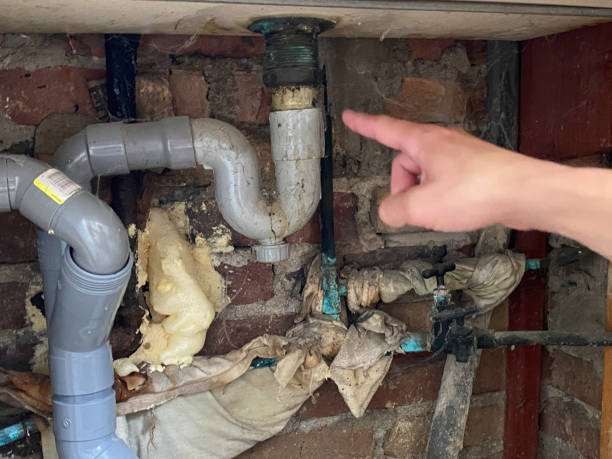 Best Mold removal after water damage  in Holden Heights, FL