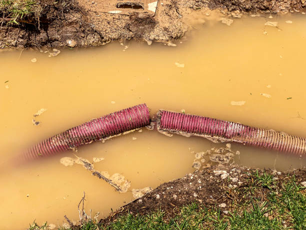 Best Residential water damage restoration  in Holden Heights, FL