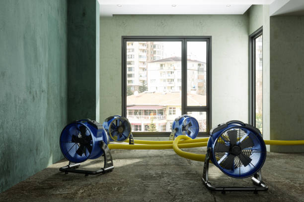  Holden Heights, FL Water damage restoration Pros